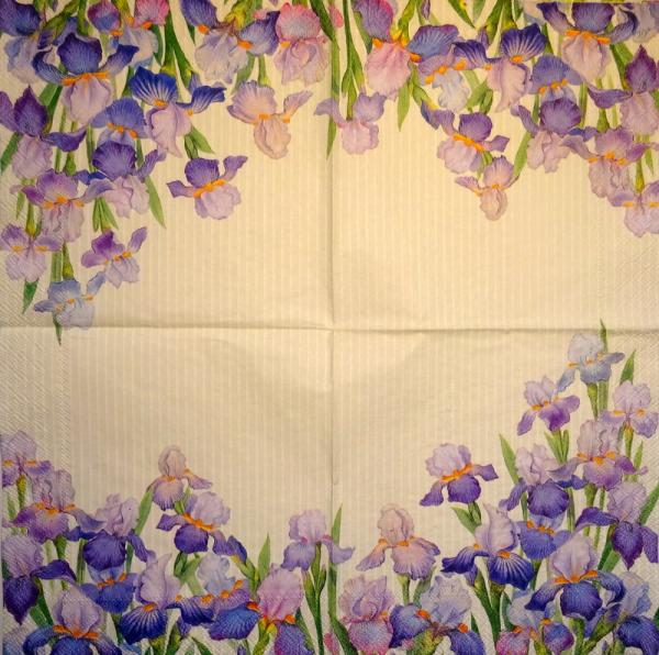 100 Lilien - 3-lagig - Ihr